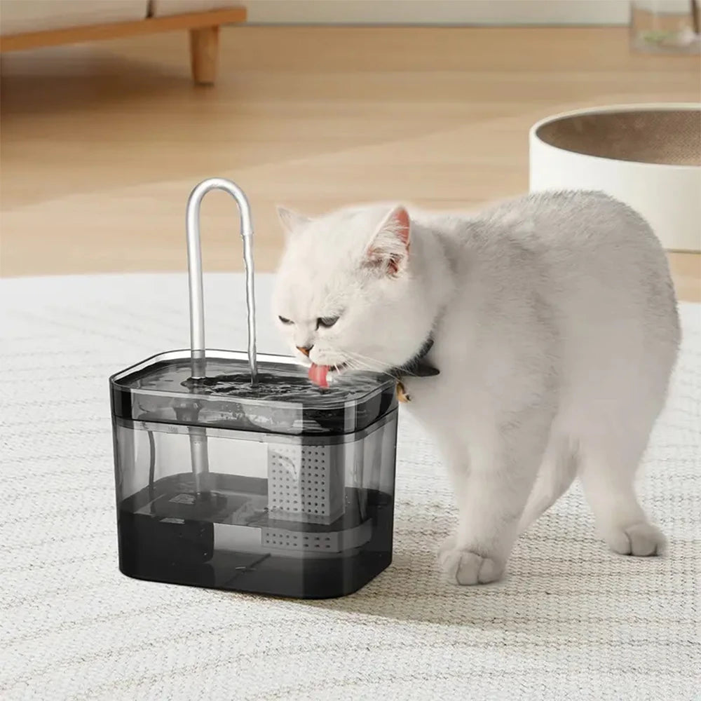 Cat Water Fountain with USB Auto Filter Recirculate