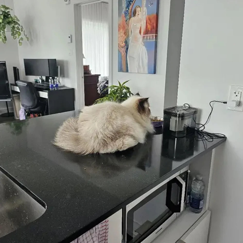 Cat Water Fountain with USB Auto Filter Recirculate
